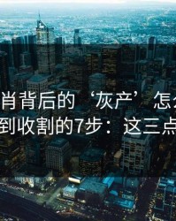 十二生肖背后的‘灰产’怎么运作：从引流到收割的7步：这三点先记住